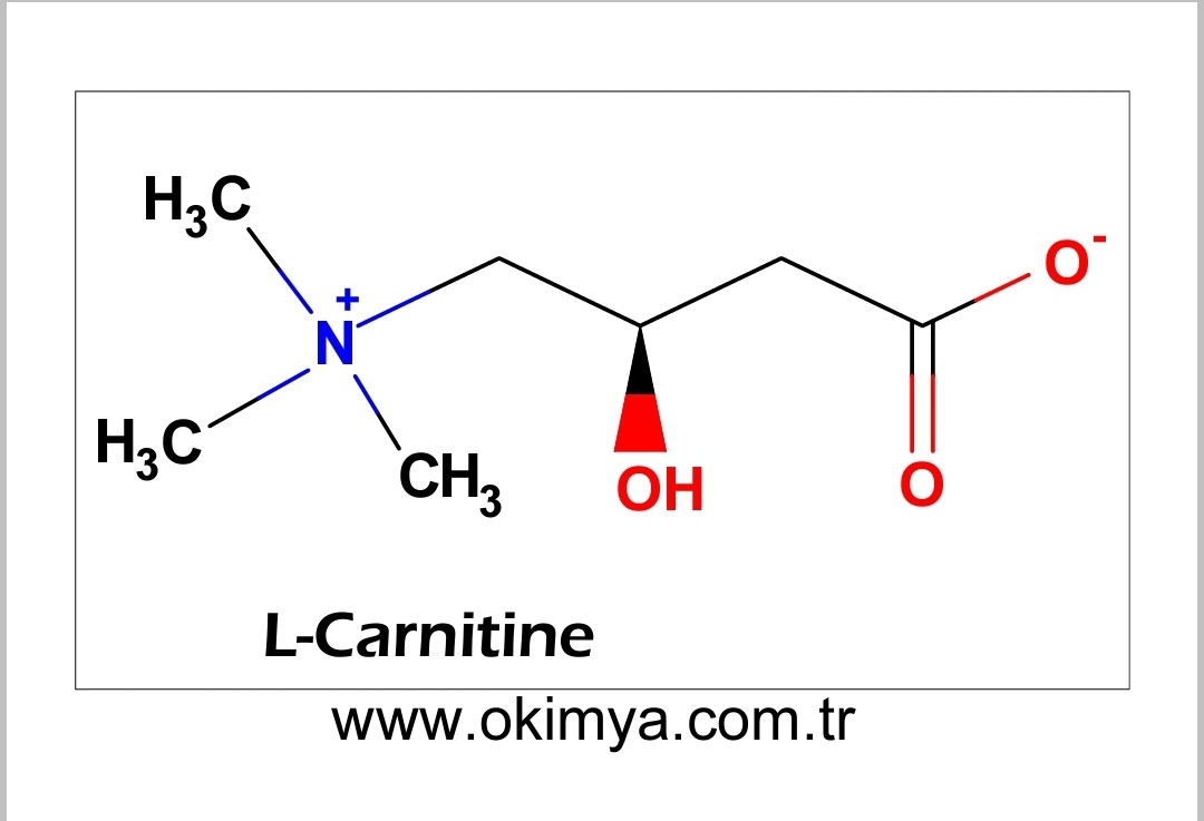 L-Karnitin - Amino Asitler